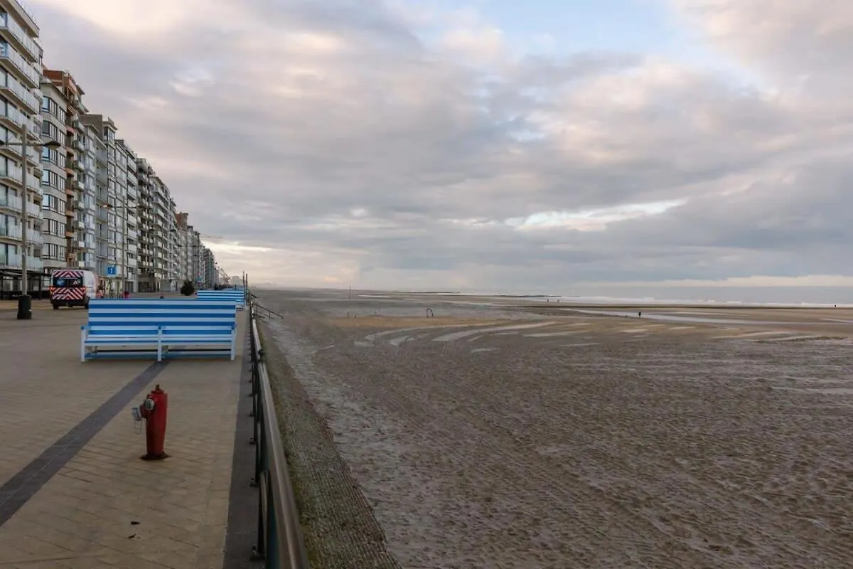 شقة Huswell - Charming Studio With Terrace Nearby The Beach ميدل كيرك 0*, ميدل كيرك بلجيكا